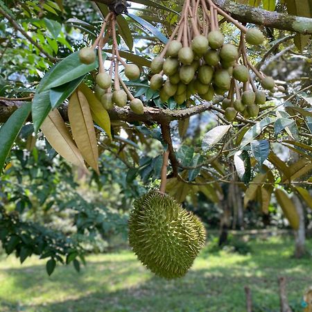 Vila Kebun Puisi Kajang Exteriér fotografie