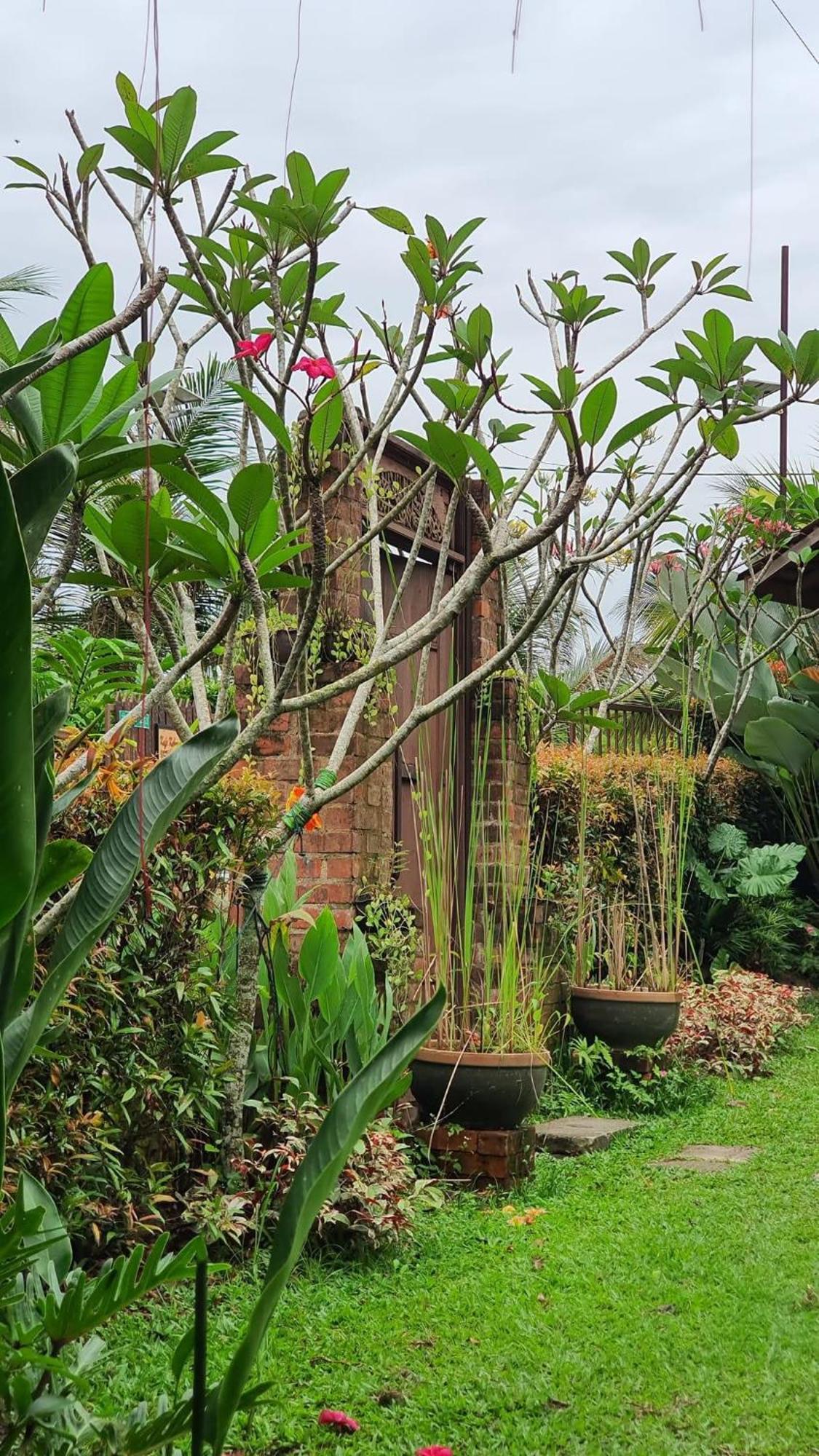 Vila Kebun Puisi Kajang Exteriér fotografie